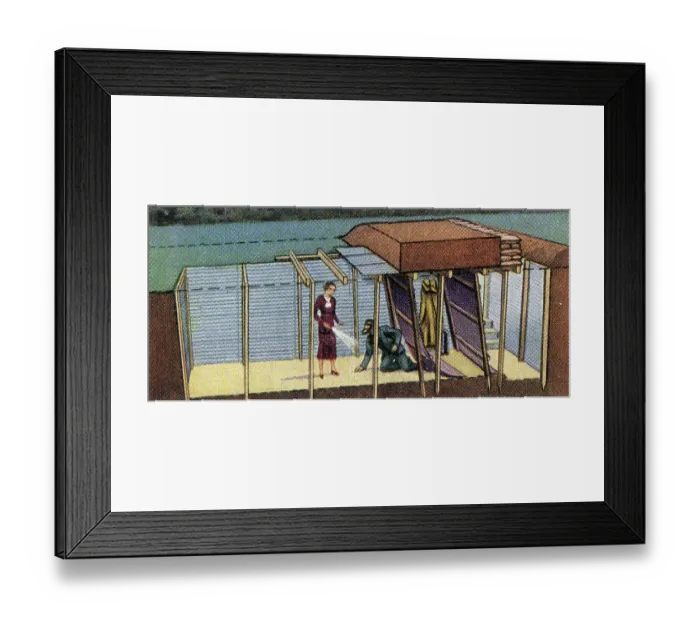 Framed Print : Garden Fallout Shelter, Air Raid Precautions series, collectible tobacco card, circa 1942 Framed Print : Garden Fallout Shelter, Air Raid Precautions series, collectible tobacco card, circa 1942
