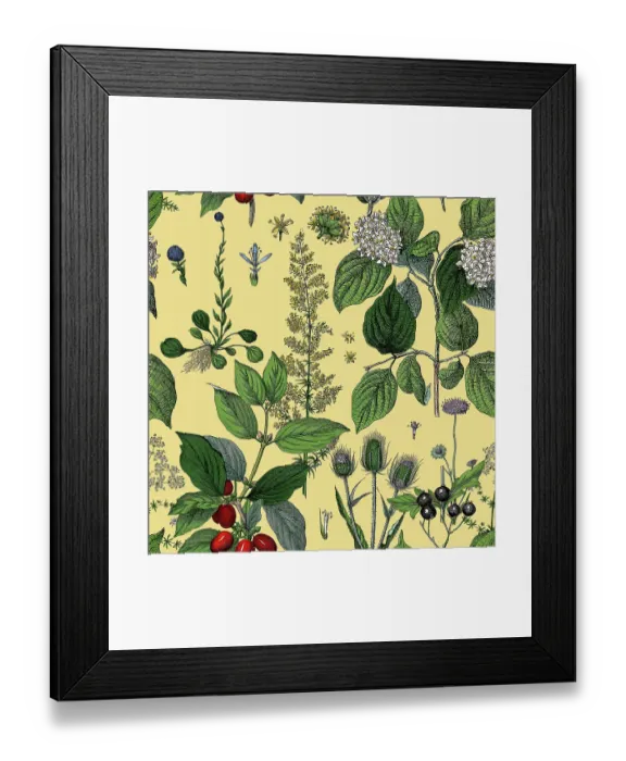 Framed Print : Victorian Botanical, Hand-Colored, Seamless Repeating pattern. Realistic blooming isolated flowers, Vintage fabric background. Beautiful Cottage Garden and wildflowers. Wallpaper baroque. Drawing engraving. Victorian Illustration Framed Print : Victorian Botanical, Hand-Colored, Seamless Repeating pattern. Realistic blooming isolated flowers, Vintage fabric background. Beautiful Cottage Garden and wildflowers. Wallpaper baroque. Drawing engraving. Victorian Illustration