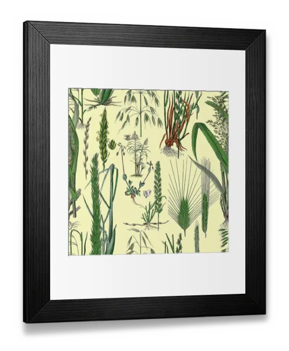 Framed Print : Victorian Botanical, Hand-Colored, Seamless Repeating pattern. Realistic blooming isolated flowers, Vintage fabric background. Beautiful Cottage Garden and wildflowers. Wallpaper baroque. Drawing engraving. Victorian Illustration Framed Print : Victorian Botanical, Hand-Colored, Seamless Repeating pattern. Realistic blooming isolated flowers, Vintage fabric background. Beautiful Cottage Garden and wildflowers. Wallpaper baroque. Drawing engraving. Victorian Illustration