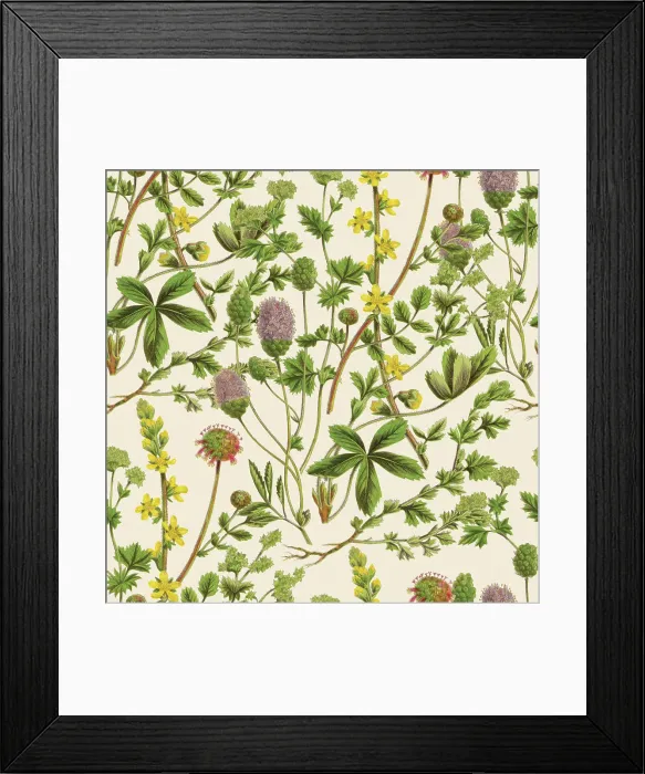 Framed Print : Victorian Botanical, Hand-Colored, Seamless Repeating pattern. Realistic blooming isolated flowers, Vintage fabric background. Beautiful Cottage Garden and wildflowers. Wallpaper baroque. Drawing engraving. Victorian Illustration Framed Print : Victorian Botanical, Hand-Colored, Seamless Repeating pattern. Realistic blooming isolated flowers, Vintage fabric background. Beautiful Cottage Garden and wildflowers. Wallpaper baroque. Drawing engraving. Victorian Illustration