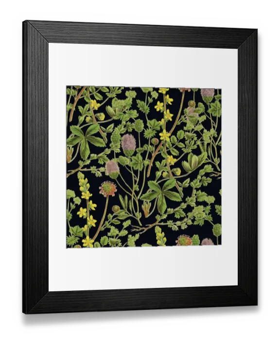 Framed Print : Victorian Botanical, Hand-Colored, Seamless Repeating pattern. Realistic blooming isolated flowers, Vintage fabric background. Beautiful Cottage Garden and wildflowers. Wallpaper baroque. Drawing engraving. Victorian Illustration Framed Print : Victorian Botanical, Hand-Colored, Seamless Repeating pattern. Realistic blooming isolated flowers, Vintage fabric background. Beautiful Cottage Garden and wildflowers. Wallpaper baroque. Drawing engraving. Victorian Illustration