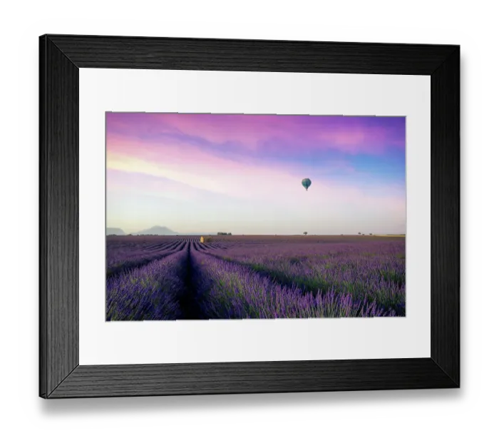 Framed Print : Beautiful morning behind the hills and shines on the endless fields of aromatic lavender field summer sunset landscape with balloon near Valensole, Provence, France