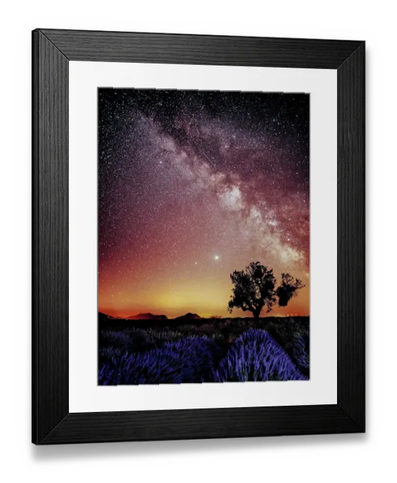 Framed Print : The The Milky Way over a single tree and a lavender field in Provence, France Framed Print : The The Milky Way over a single tree and a lavender field in Provence, France
