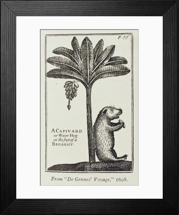 Framed Print : Private Collection Framed Print : Private Collection