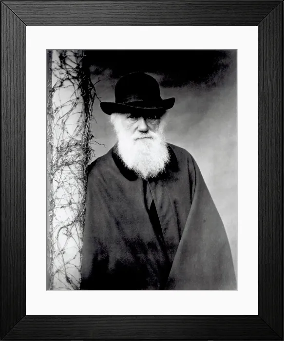 Framed Print : Charles Darwin Portrait Framed Print : Charles Darwin Portrait