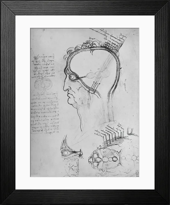 Framed Print : Sections of a Man's Head Showing the Anatomy of the Eye, Etc. c1480 Framed Print : Sections of a Man's Head Showing the Anatomy of the Eye, Etc. c1480