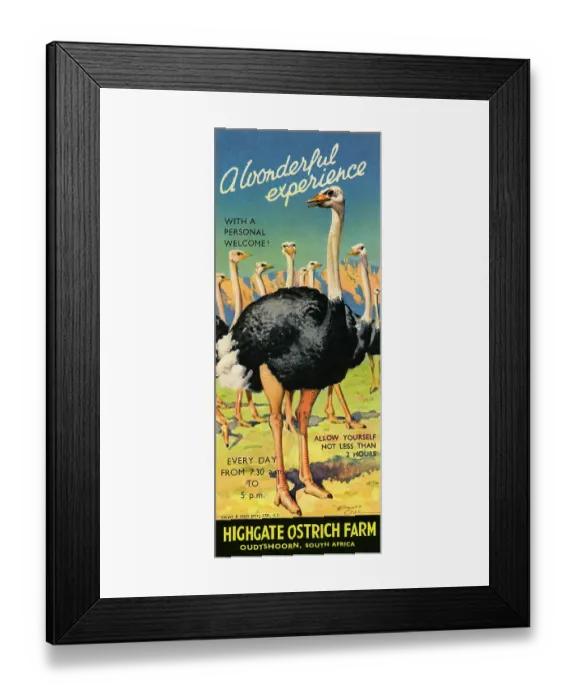 Framed Print : A Wonderful Experience Framed Print : A Wonderful Experience