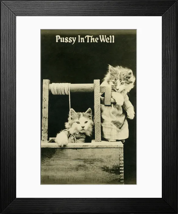 Framed Print : Cats In The Well Framed Print : Cats In The Well