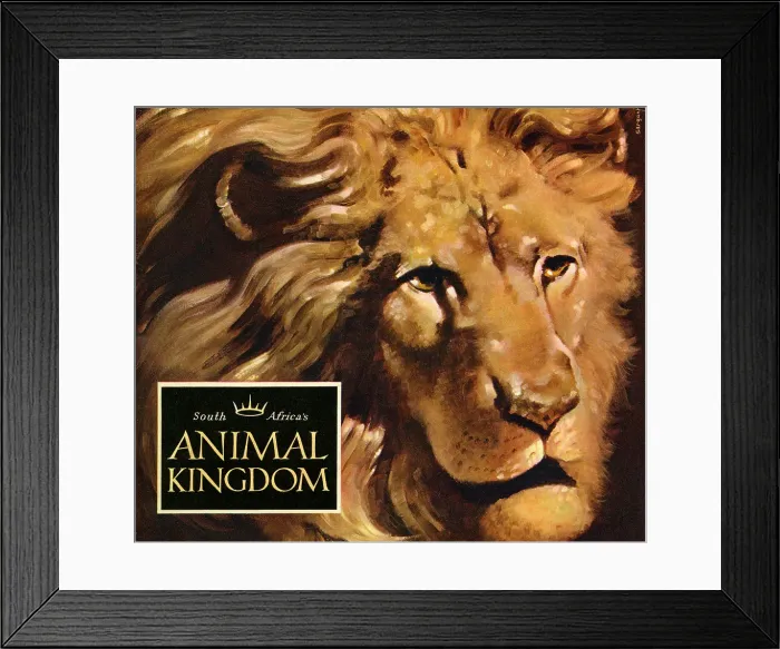 Framed Print : South Africa's Animal Kingdom Framed Print : South Africa's Animal Kingdom