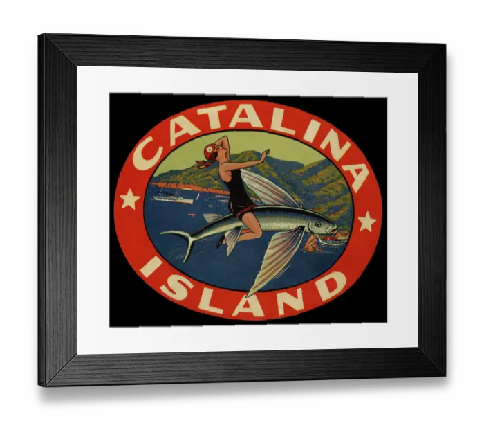 Framed Print : Catalina Island Framed Print : Catalina Island