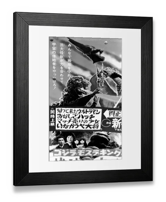 Framed Print : Japan Scenics