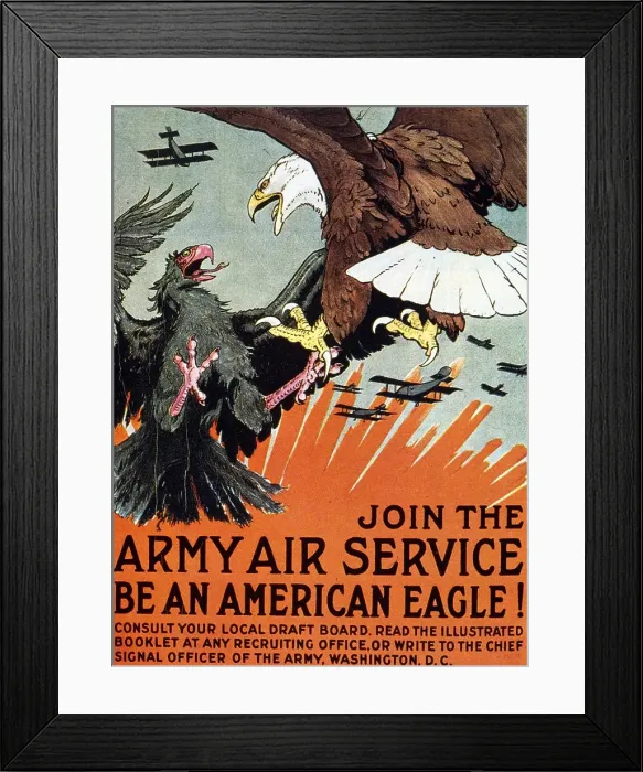 Framed Print : Eagle Attack Framed Print : Eagle Attack