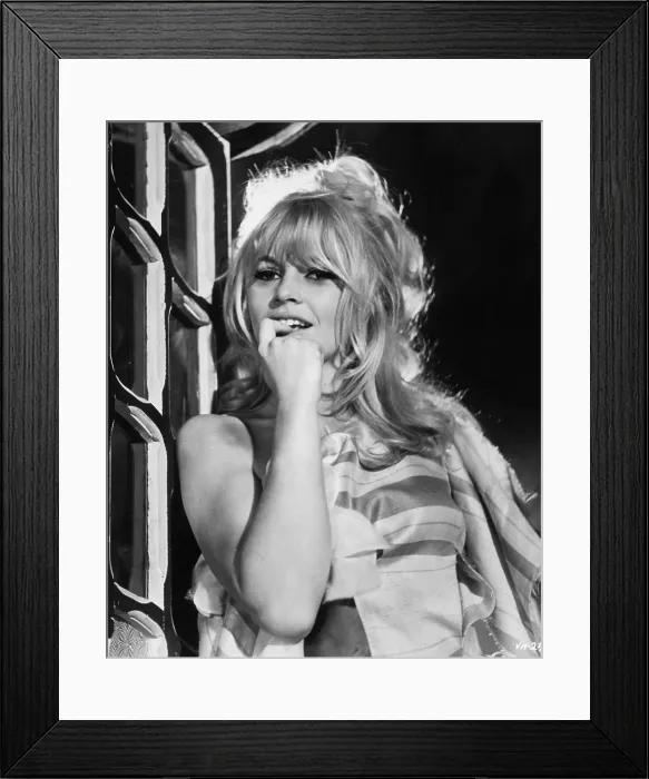 Framed Print : Viva Maria Framed Print : Viva Maria