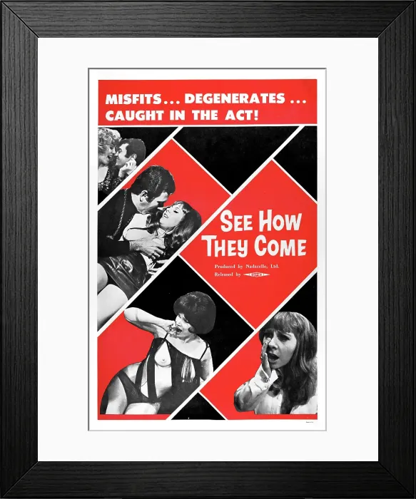 Framed Print : One Sheet For See How They Come