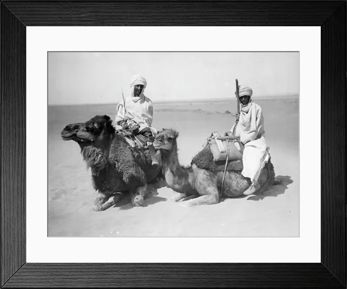 Framed Print : ARABS AND CAMELS Framed Print : ARABS AND CAMELS