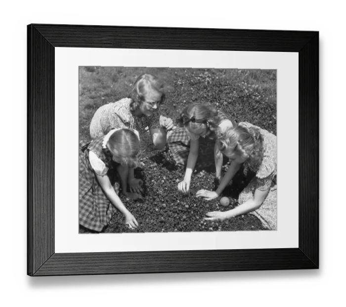 Framed Print : Clover Patch Framed Print : Clover Patch