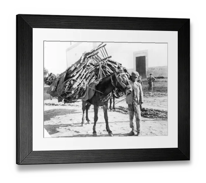 Framed Print : INDUSTRIAL BARCELONA Framed Print : INDUSTRIAL BARCELONA