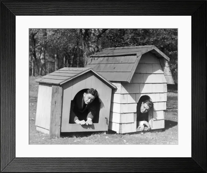 Framed Print : In The Dog House Framed Print : In The Dog House