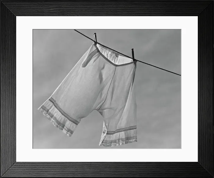 Framed Print : Drying Bloomers Framed Print : Drying Bloomers