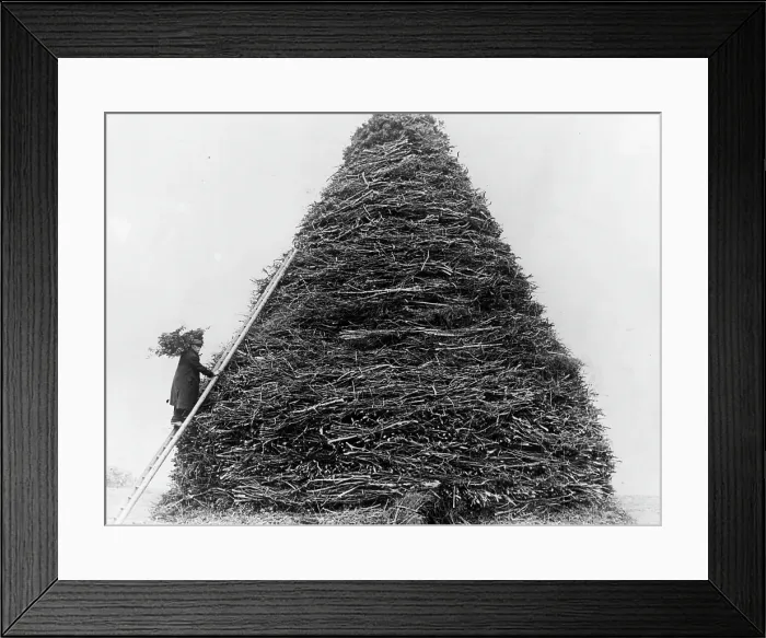 Framed Print : BON FIRE FOR DUKE OF NORFOLK Framed Print : BON FIRE FOR DUKE OF NORFOLK