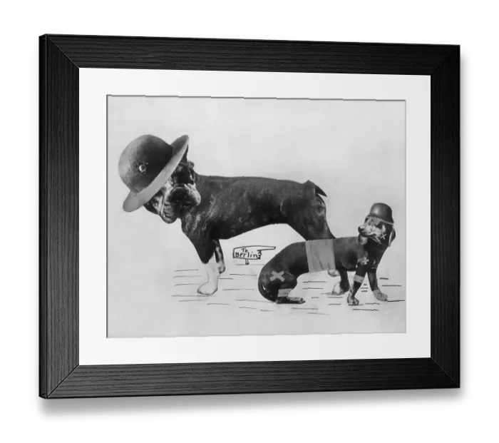 Framed Print : War Dogs. circa 1917: Poster showing a boxer dog Framed Print : War Dogs. circa 1917: Poster showing a boxer dog