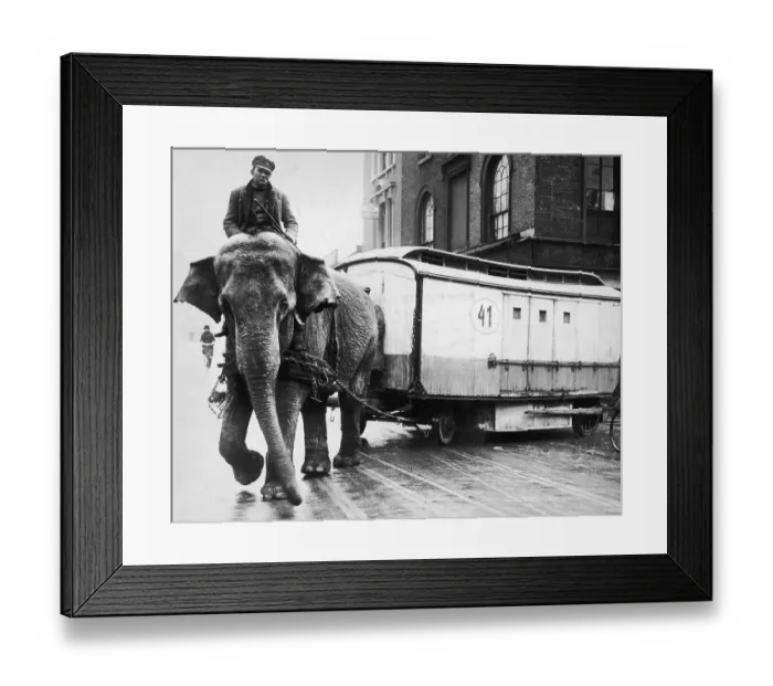 Framed Print : Alternative Power Framed Print : Alternative Power