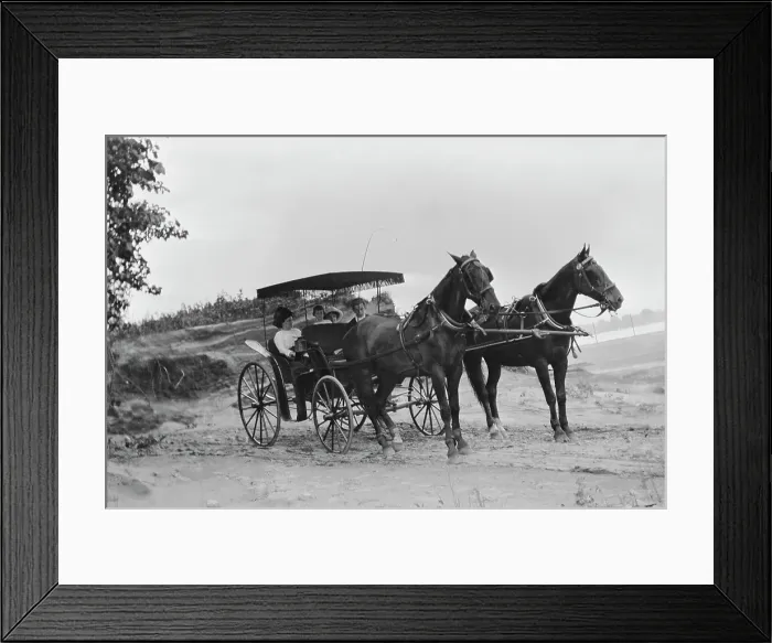 Framed Print : Graf Family Outing Framed Print : Graf Family Outing