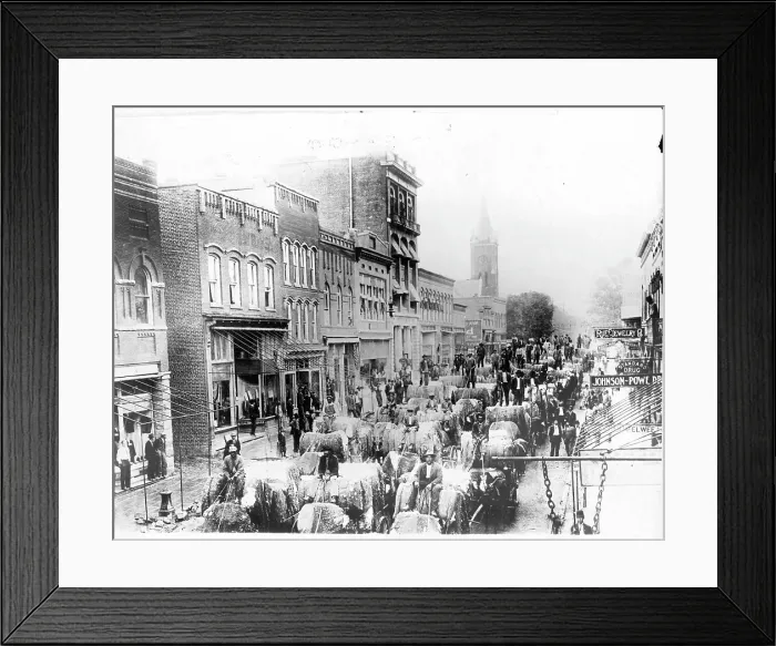 Framed Print : Cotton Is Hauled Down Streets Of Rock Hill, South Carolina Framed Print : Cotton Is Hauled Down Streets Of Rock Hill, South Carolina