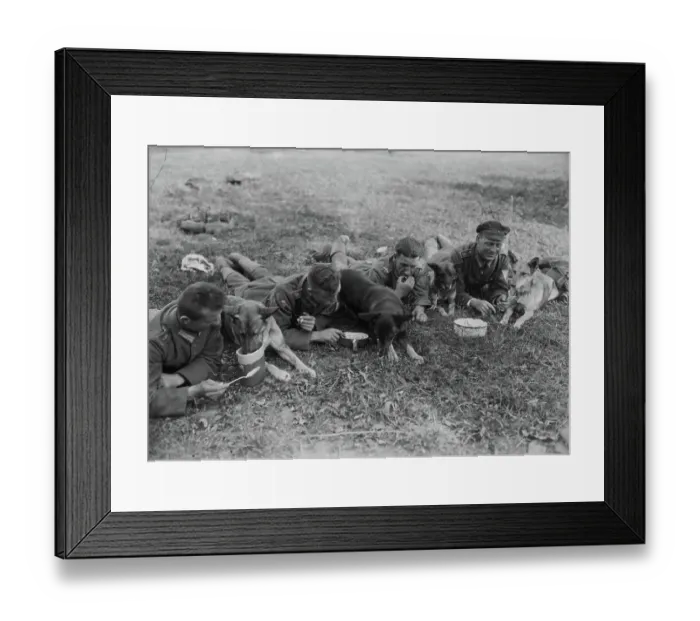 Framed Print : World War Two Framed Print : World War Two