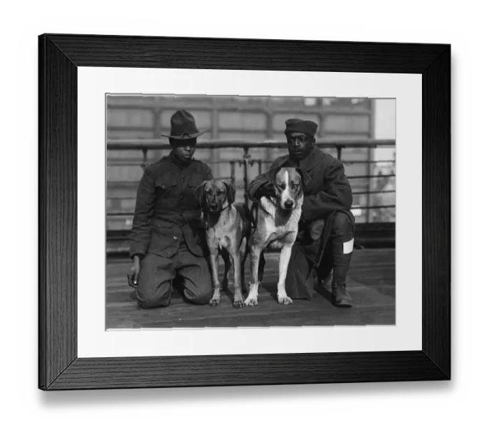 Framed Print : German Dogs Crown Prince and Kaiser Bill Framed Print : German Dogs Crown Prince and Kaiser Bill