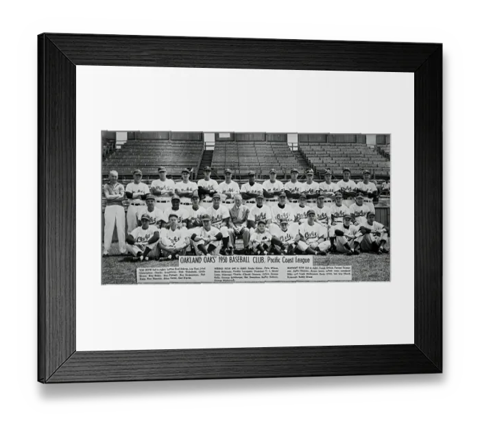 Framed Print : Team Portrait Of The Oakland Oaks Framed Print : Team Portrait Of The Oakland Oaks