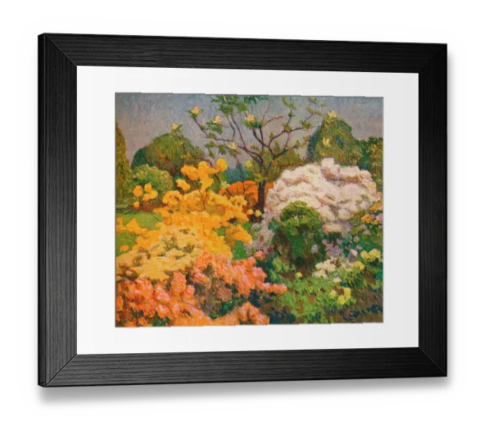 Framed Print : Azaleas, Kew Gardens, circa 1914. From The Studio Volume 66 Framed Print : Azaleas, Kew Gardens, circa 1914. From The Studio Volume 66