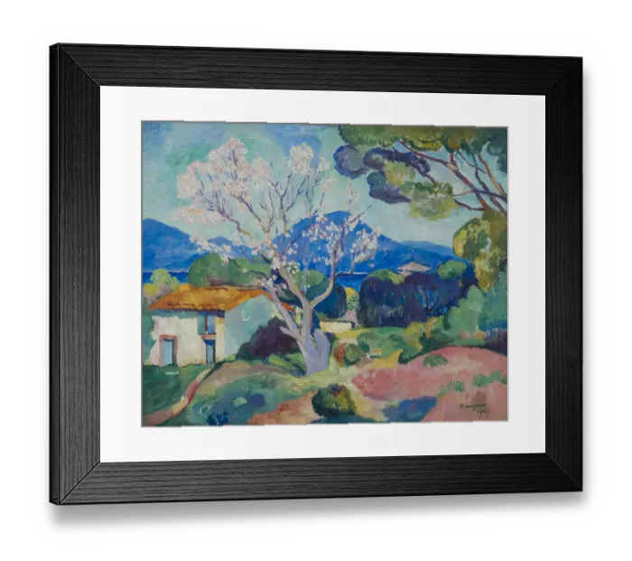 Framed Print : Lamandier En Fleurs Framed Print : Lamandier En Fleurs