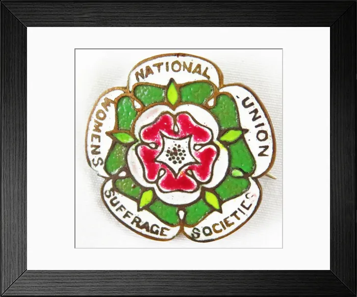 Framed Print : Rose Suffrage Pin Framed Print : Rose Suffrage Pin