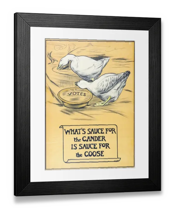 Framed Print : Suffrage Geese Poster Framed Print : Suffrage Geese Poster