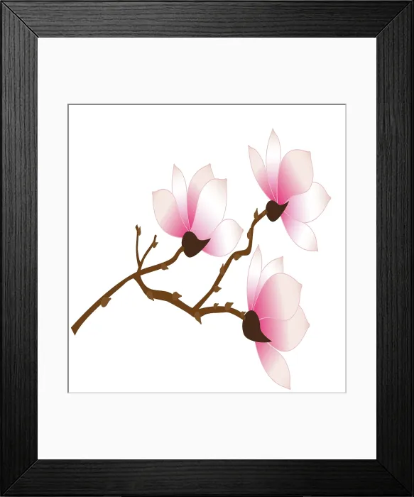 Framed Print : Vector artwork of pink Magnolia flowers on a branch Framed Print : Vector artwork of pink Magnolia flowers on a branch