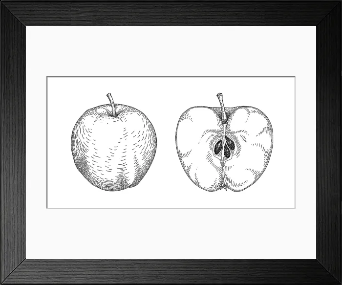 Framed Print : Apple. Dorling Kindersley Prints Framed Print : Apple. Dorling Kindersley Prints
