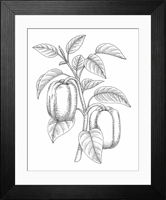 Framed Print : Bell Pepper