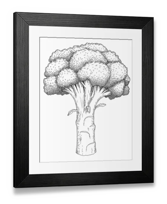 Framed Print : Broccoli. Dorling Kindersley Prints