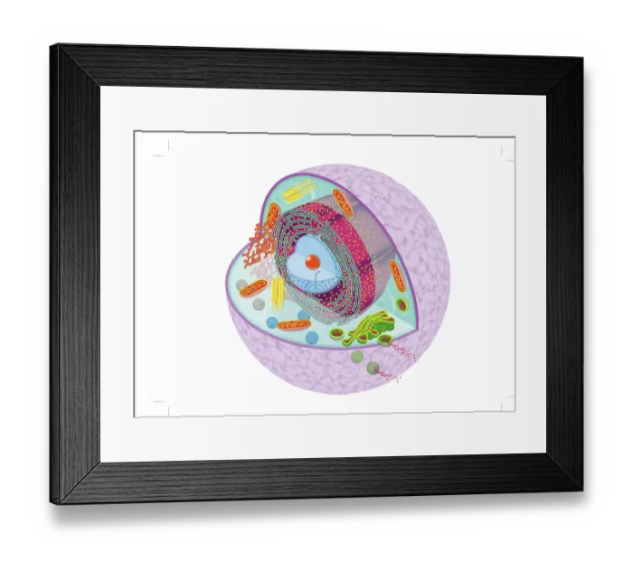 Framed Print : Simple cell