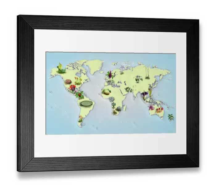 Framed Print : Freaky Flora map