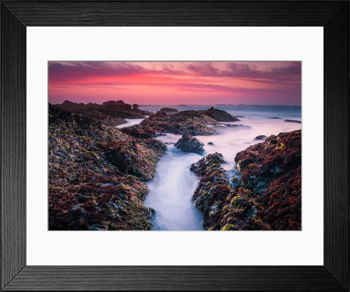 Framed Print : little hidden treasures Framed Print : little hidden treasures