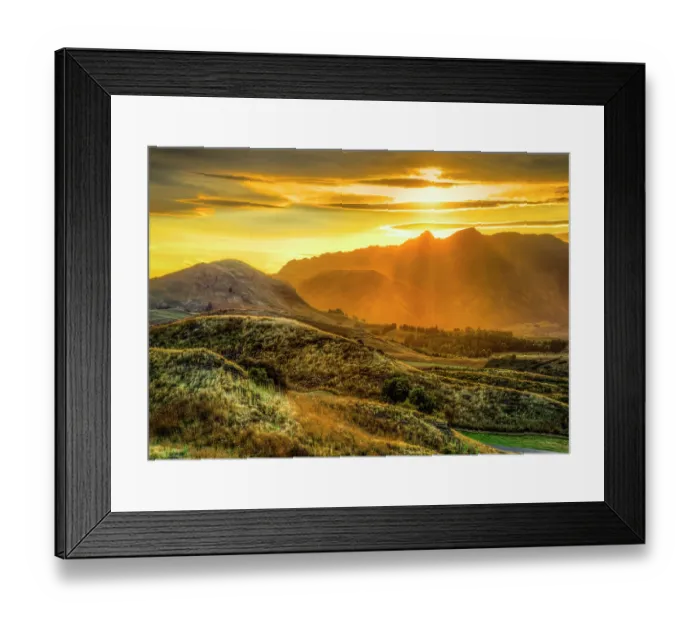 Framed Print : golden rollers | lake hayes Framed Print : golden rollers | lake hayes