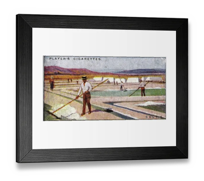 Framed Print : Vintage tobacco card, Salt Industry, Portugal, Products of the World series, Player's Cigarettes, 1928 Framed Print : Vintage tobacco card, Salt Industry, Portugal, Products of the World series, Player's Cigarettes, 1928