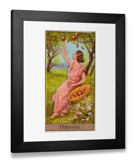 Framed Print : Pomona, Vintage Cigarette Card, Mythological Gods and Goddesses series, 1924 Framed Print : Pomona, Vintage Cigarette Card, Mythological Gods and Goddesses series, 1924