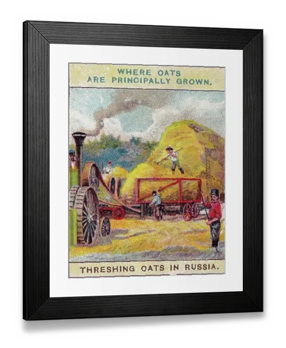 Framed Print : Vintage tobacco card, Threshing Oats, Russia, Products of the World series, Player's Cigarettes, 1909 Framed Print : Vintage tobacco card, Threshing Oats, Russia, Products of the World series, Player's Cigarettes, 1909