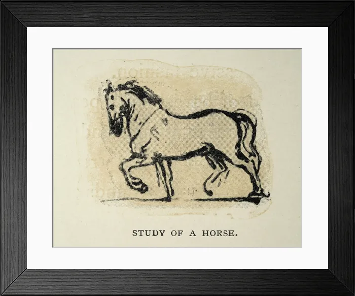 Framed Print : Sketch by Leonardo da Vinci, renaissance art, Study of a horse Framed Print : Sketch by Leonardo da Vinci, renaissance art, Study of a horse