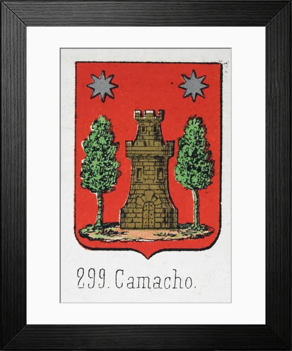 Framed Print : Medieval heraldry, Coat of arms, Shield with, Silver, Star, Over, Gold, Castle, Trees, Spanish, Vintage illustration