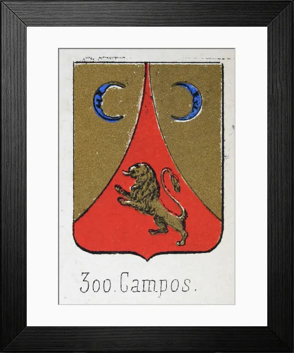 Framed Print : Medieval heraldry, Coat of arms, Shield with, Blue, crescent, moon, rampant, gold, lion, Spanish, Vintage illustration Framed Print : Medieval heraldry, Coat of arms, Shield with, Blue, crescent, moon, rampant, gold, lion, Spanish, Vintage illustration