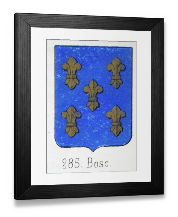 Framed Print : Medieval heraldry, Coat of arms, Shield with, Five, Gold, fleur de lis, Spanish, Vintage illustration Framed Print : Medieval heraldry, Coat of arms, Shield with, Five, Gold, fleur de lis, Spanish, Vintage illustration